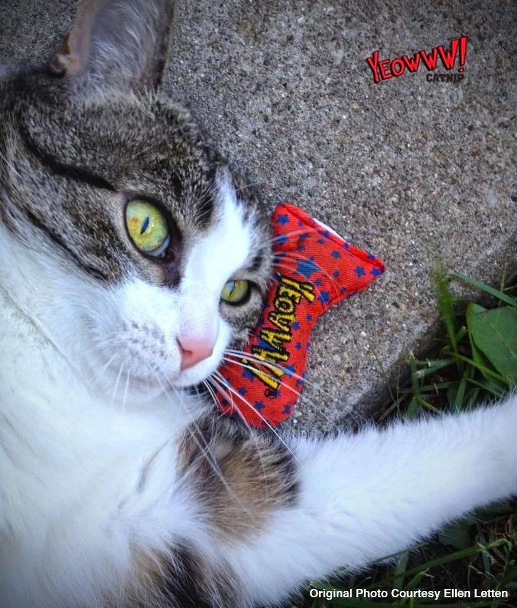 Yeowww! Stinkies Sardientje - Rood Met Sterren - 7.5 Cm - Catnip Kattenkruid ( Kattenspeeltjes ) 4 Yeowww! Stinkies Sardientje - Rood Met Sterren - 7.5 Cm - Catnip Kattenkruid ( Kattenspeeltjes ) - Afbeelding 2