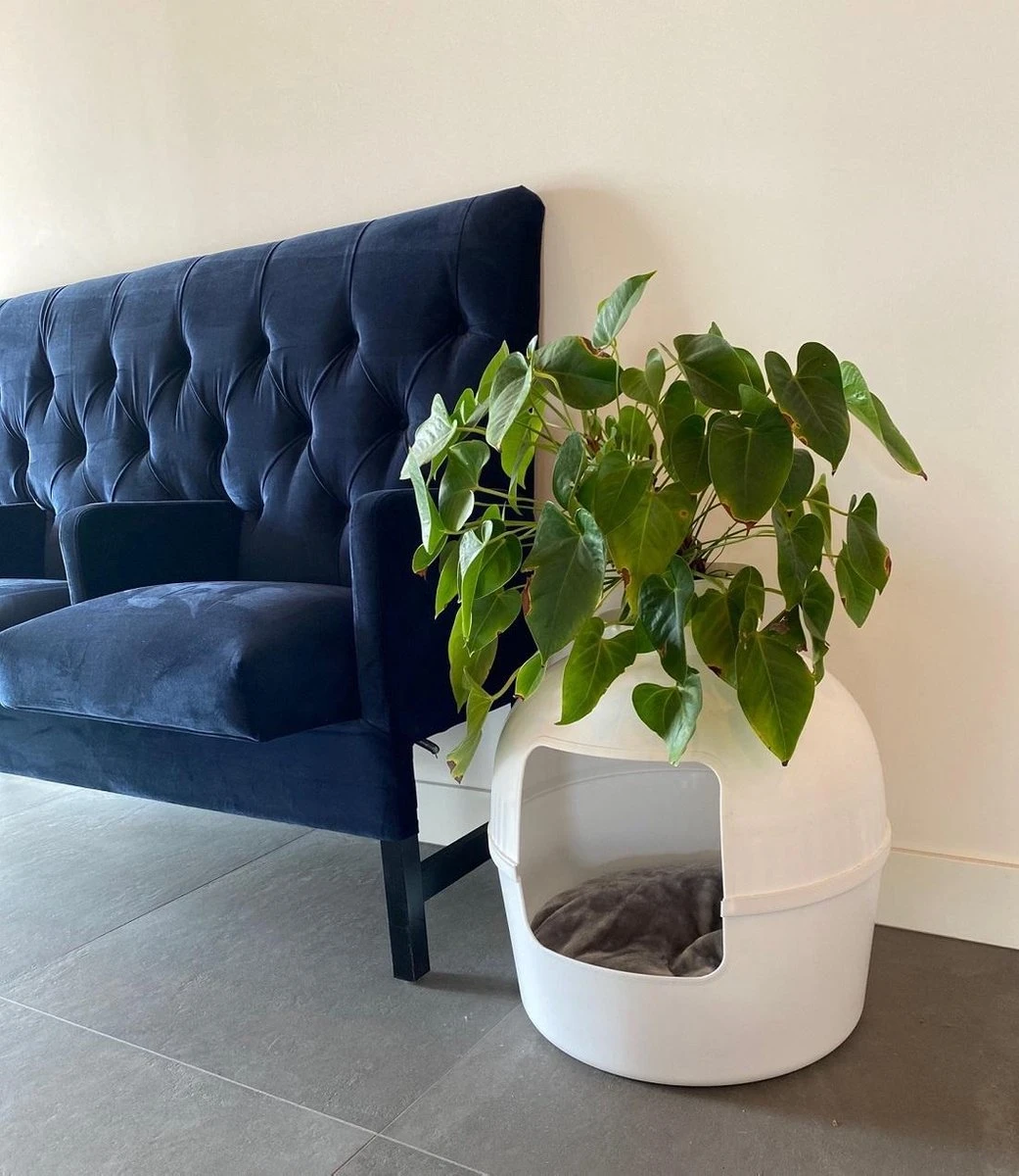 XXL Kattenbak – Verborgen Kattentoilet – Flower XXL Wit Voor Grote Katten Van RHRQuality 8 XXL Kattenbak – Verborgen Kattentoilet – Flower XXL Wit Voor Grote Katten Van RHRQuality - Afbeelding 6