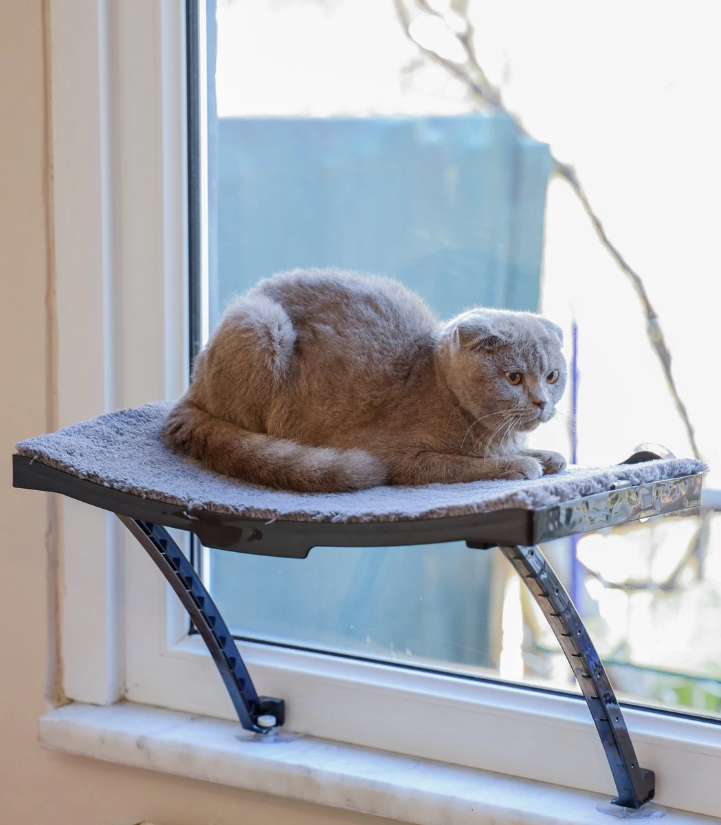 Hobipets - Kattenmand Raam - 5 Zuignappen - Hangmat Kat Raam 6 Hobipets - Kattenmand Raam - 5 Zuignappen - Hangmat Kat Raam - Afbeelding 4