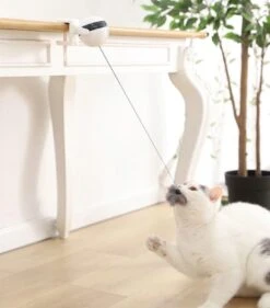 Merkloos Kattenspeelgoed - Katten Speelgoed - Katten Speeltje - Katten Bal - Katten - Kattenhengel - Kitten Speelgoed - Kattenspeeltjes - Elektrische - Muis - Automatische Hengel - Bal - Poes - Katten - Prooi - Kat - Poesjes - Interactief Kattenspeelgoed -Kattenbenodigdheden 1053x1200 1