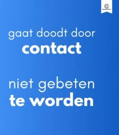 Essential Link Teken- En Vlooienband - Vlooienband Kat – Anti Vlooien – Vlooienmiddel - Tekenband - Diervriendelijk -Kattenbenodigdheden 1058x1200