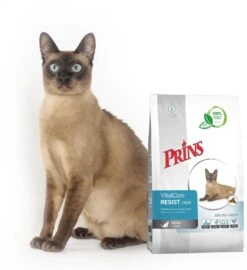Prins VitalCare Resist - Kattenvoer - 10 Kg -Kattenbenodigdheden 1098x1200