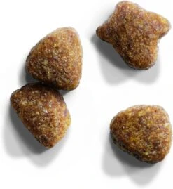 Iams Cat Senior - Kip - 3 Kg -Kattenbenodigdheden 1102x1200 1