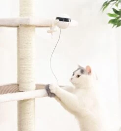 Merkloos Kattenspeelgoed - Katten Speelgoed - Katten Speeltje - Katten Bal - Katten - Kattenhengel - Kitten Speelgoed - Kattenspeeltjes - Elektrische - Muis - Automatische Hengel - Bal - Poes - Katten - Prooi - Kat - Poesjes - Interactief Kattenspeelgoed -Kattenbenodigdheden 1105x1200 3
