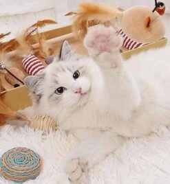 GIZMO Luxe Kattenspeeltjes Set - 7 Speeltjes - Interactieve Kattenhengel, Kattenspeelgoed & Speelmuisjes - Kitten Speeltjes 17 GIZMO Luxe Kattenspeeltjes Set - 7 Speeltjes - Interactieve Kattenhengel, Kattenspeelgoed & Speelmuisjes - Kitten Speeltjes -Kattenbenodigdheden 1108x1200 2