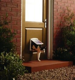 Petsafe 700 Kattenluik - S - Wit - 18.5 X 15.8 Cm -Kattenbenodigdheden 1122x1200 2