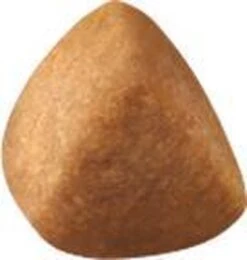 Royal Canin Ragdoll Adult - Kattenvoer - 2 Kg -Kattenbenodigdheden 1141x1200