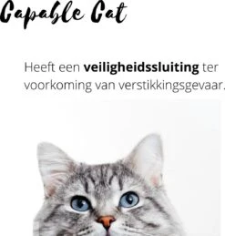 Capable Cat Vlooienband Kat | Vlooien | Luizen | Teken | Mijten | 8 Maanden Bescherming | Katten -Kattenbenodigdheden 1143x1200 1