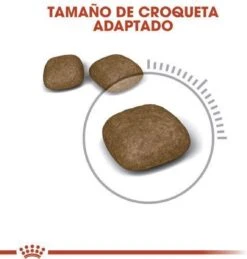 Royal Canin Urinary Care - Kattenvoer - 10 Kg -Kattenbenodigdheden 1146x1200 1