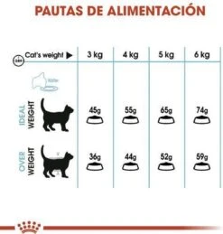 Royal Canin Urinary Care - Kattenvoer - 10 Kg -Kattenbenodigdheden 1146x1200 2