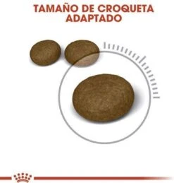 Royal Canin Hair & Skin Care - Kattenvoer - 2 Kg -Kattenbenodigdheden 1146x1200