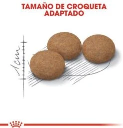 Royal Canin Ageing Sterilised 12+ - Kattenvoer - 2 Kg 25 Royal Canin Ageing Sterilised 12+ - Kattenvoer - 2 Kg -Kattenbenodigdheden 1149x1200 1