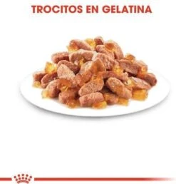 Royal Canin Kitten In Jelly - Kattenvoer - 1020 G -Kattenbenodigdheden 1149x1200