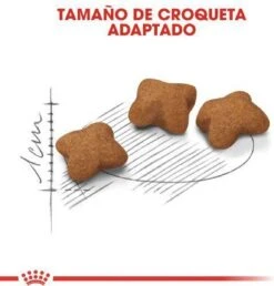 Royal Canin Kitten Sterilised - Kattenvoer - 3,5 Kg -Kattenbenodigdheden 1151x1200 1