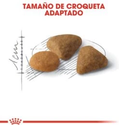 Royal Canin Savour Exigent - Kattenvoer - 4 Kg 29 Royal Canin Savour Exigent - Kattenvoer - 4 Kg -Kattenbenodigdheden 1151x1200