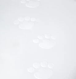 Beeztees Duchesse Kittenbak - Kattenbak - Roze/Wit - 44x35x32 Cm 11 Beeztees Duchesse Kittenbak - Kattenbak - Roze/Wit - 44x35x32 Cm -Kattenbenodigdheden 1152x1200