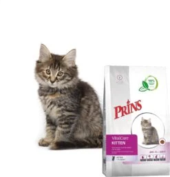 Prins VitalCare Kitten 10 Kg -Kattenbenodigdheden 1153x1200 1