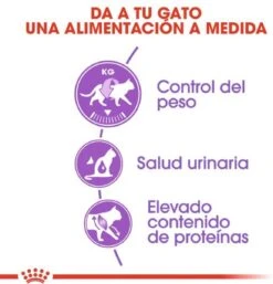 Royal Canin Sterilised 37 - Kattenvoer - 4 Kg 21 Royal Canin Sterilised 37 - Kattenvoer - 4 Kg -Kattenbenodigdheden 1154x1200 1