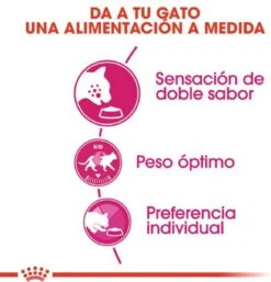 Royal Canin Savour Exigent - Kattenvoer - 4 Kg 18 Royal Canin Savour Exigent - Kattenvoer - 4 Kg -Kattenbenodigdheden 1154x1200 4