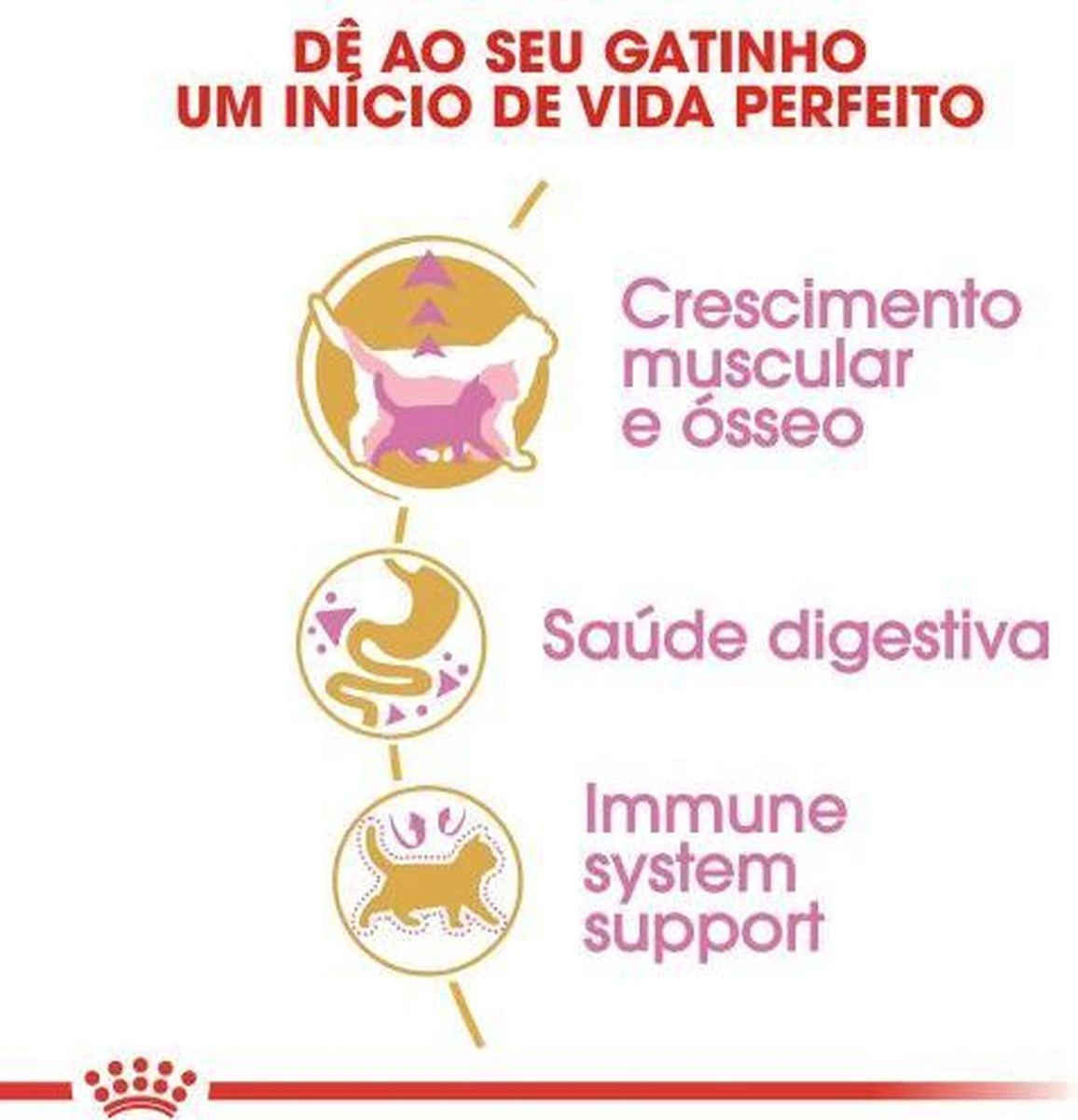 Royal Canin British Shorthair Kitten - 2 Kg 7 Royal Canin British Shorthair Kitten - 2 Kg - Afbeelding 5