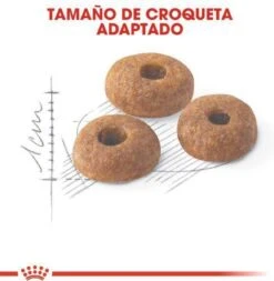 Royal Canin Fit 32 - Kattenvoer - 10 Kg -Kattenbenodigdheden 1173x1200 1