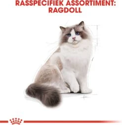 Royal Canin Ragdoll Adult - Kattenvoer - 2 Kg -Kattenbenodigdheden 1177x1200