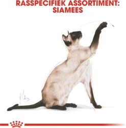 Royal Canin Siamese Adult - Kattenvoer - 4 Kg -Kattenbenodigdheden 1178x1200