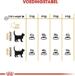Royal Canin Hair & Skin Care - Kattenvoer - 2 Kg -Kattenbenodigdheden 1179x1200 2