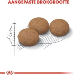 Royal Canin Ageing Sterilised 12+ - Kattenvoer - 2 Kg 20 Royal Canin Ageing Sterilised 12+ - Kattenvoer - 2 Kg -Kattenbenodigdheden 1180x1200 2