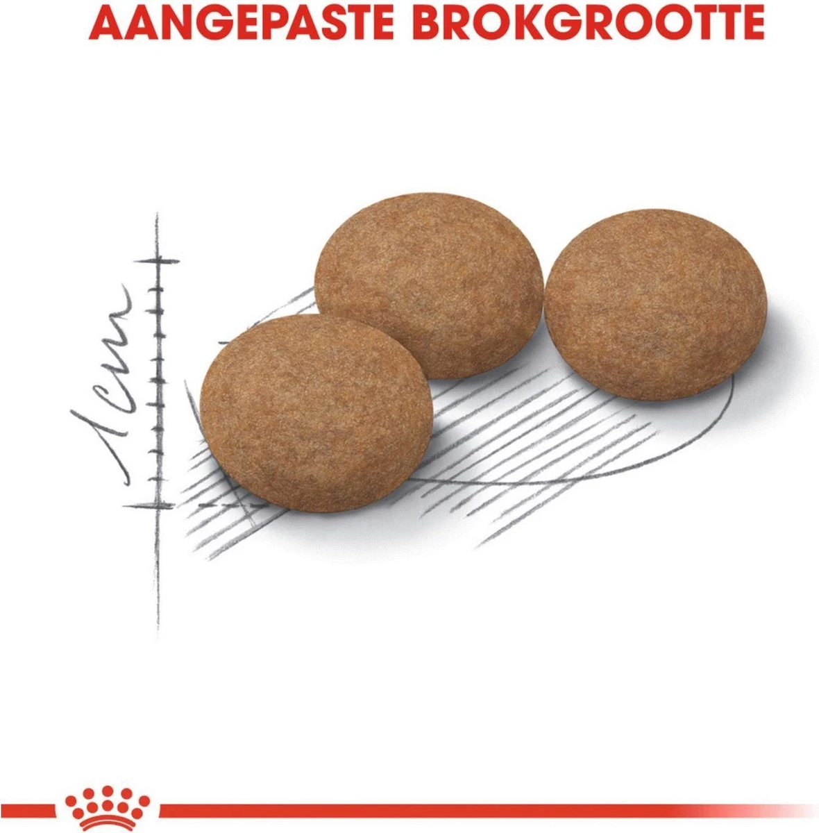 Royal Canin Ageing Sterilised 12+ - Kattenvoer - 2 Kg 5 Royal Canin Ageing Sterilised 12+ - Kattenvoer - 2 Kg - Afbeelding 3