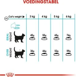 Royal Canin Urinary Care - Kattenvoer - 10 Kg -Kattenbenodigdheden 1180x1200 9