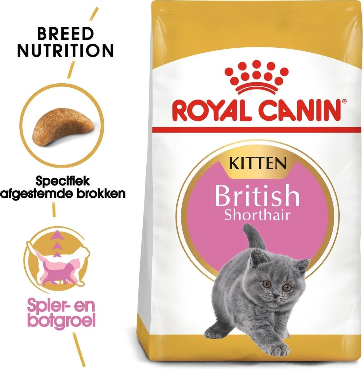 Royal Canin British Shorthair Kitten - 2 Kg 4 Royal Canin British Shorthair Kitten - 2 Kg - Afbeelding 2