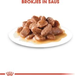 Royal Canin Urinary Care In Gravy (12X85 GR) -Kattenbenodigdheden 1184x1200 1
