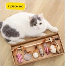 Kattenspeelgoed - Set Met 7 Kattenspeeltjes - Complete Set - Kattenhengel - Speelmuis -Kattenbenodigdheden 1186x1200 14