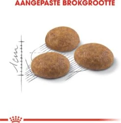 Royal Canin Outdoor - Kattenvoer - 4 Kg -Kattenbenodigdheden 1186x1200 3