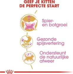 Royal Canin British Shorthair Kitten - 2 Kg 18 Royal Canin British Shorthair Kitten - 2 Kg -Kattenbenodigdheden 1188x1200 4