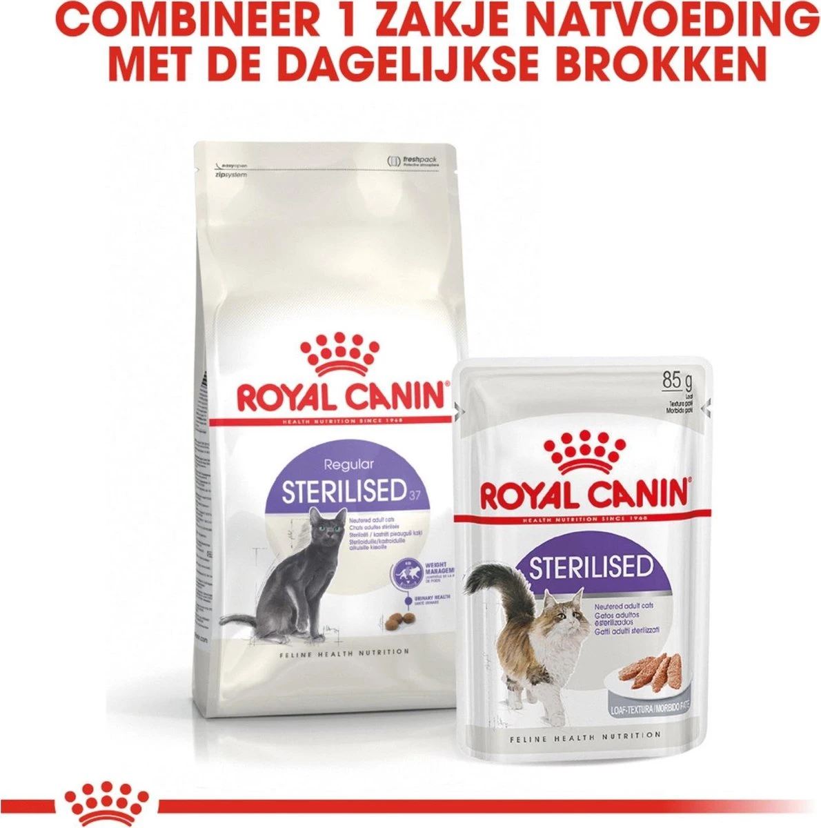 Royal Canin Sterilised 37 - Kattenvoer - 4 Kg 9 Royal Canin Sterilised 37 - Kattenvoer - 4 Kg - Afbeelding 7