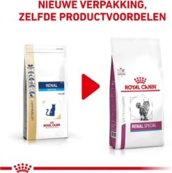 Royal Canin Renal Special - Kattenvoer - 4 Kg -Kattenbenodigdheden 1190x1200 3