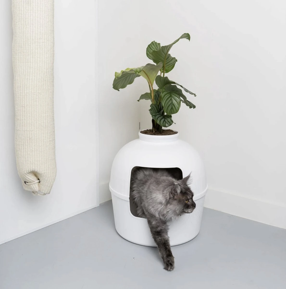 XXL Kattenbak – Verborgen Kattentoilet – Flower XXL Wit Voor Grote Katten Van RHRQuality 3 XXL Kattenbak – Verborgen Kattentoilet – Flower XXL Wit Voor Grote Katten Van RHRQuality