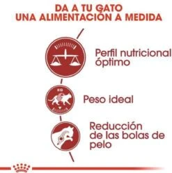 Royal Canin Fit 32 - Kattenvoer - 10 Kg -Kattenbenodigdheden 1197x1200 1