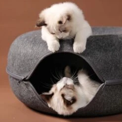 Merkloos A.K.A. Kattentunnel En Kattenmand In-1 – Kattenspeelgoed Speeltunnel Kattenhuis – Kattenhol Rond Kattenspeeltjes - Cat Cave Donut - Antraciet Vilt 12 Merkloos A.K.A. Kattentunnel En Kattenmand In-1 – Kattenspeelgoed Speeltunnel Kattenhuis – Kattenhol Rond Kattenspeeltjes - Cat Cave Donut - Antraciet Vilt -Kattenbenodigdheden 1198x1200 15