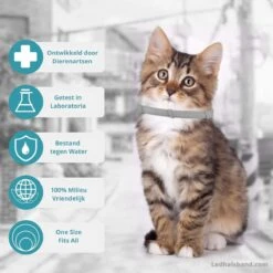 Biologische Vlooien- En Tekenband Voor Katten - BLAUW - Zonder Giftige Pesticiden - Veilig En Verantwoord 15 Biologische Vlooien- En Tekenband Voor Katten - BLAUW - Zonder Giftige Pesticiden - Veilig En Verantwoord -Kattenbenodigdheden 1199x1200 1