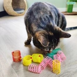 Moowi - Springveren 30 Stuks - Kat - Kattenveertjes - Kattenspeelgoed 8 Moowi - Springveren 30 Stuks - Kat - Kattenveertjes - Kattenspeelgoed -Kattenbenodigdheden 1199x1200 21