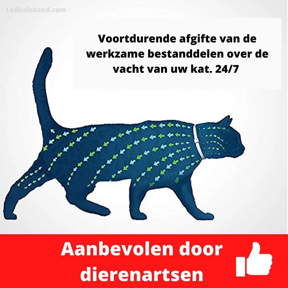 Biologische Vlooien- En Tekenband Voor Katten - BLAUW - Zonder Giftige Pesticiden - Veilig En Verantwoord 6 Biologische Vlooien- En Tekenband Voor Katten - BLAUW - Zonder Giftige Pesticiden - Veilig En Verantwoord - Afbeelding 4