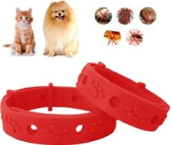 Merkloos EPIN | Vlooienband | Kat & Hond | Verstelbaar | Vlooien & Teken -Kattenbenodigdheden 1200x1017