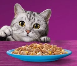 Whiskas 7+ Natvoer - Vis - Selectie In Gelei - Maaltijdzakjes 48 X 85 G 11 Whiskas 7+ Natvoer - Vis - Selectie In Gelei - Maaltijdzakjes 48 X 85 G -Kattenbenodigdheden 1200x1019 1