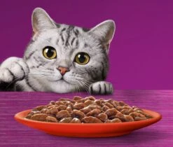 Whiskas 7+ Natvoer - Classic - Selectie In Saus - Maaltijdzakjes 48 X 85 G -Kattenbenodigdheden 1200x1019 2