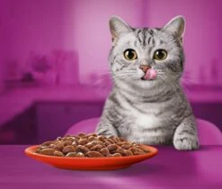 Whiskas 1+ Natvoer - Classic - Selectie In Saus - Maaltijdzakjes 40 X 85 G -Kattenbenodigdheden 1200x1019