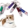 Merkloos Laser Lampje Voor Kat - Met Mini Zaklamp - Kattenlampje 1 Merkloos Laser Lampje Voor Kat - Met Mini Zaklamp - Kattenlampje -Kattenbenodigdheden 1200x1021 2