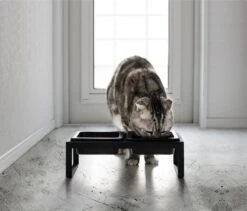 Yamazaki Eetbak - Voederbak Kat - Tweeledig - Zwart 16 Yamazaki Eetbak - Voederbak Kat - Tweeledig - Zwart -Kattenbenodigdheden 1200x1025 4